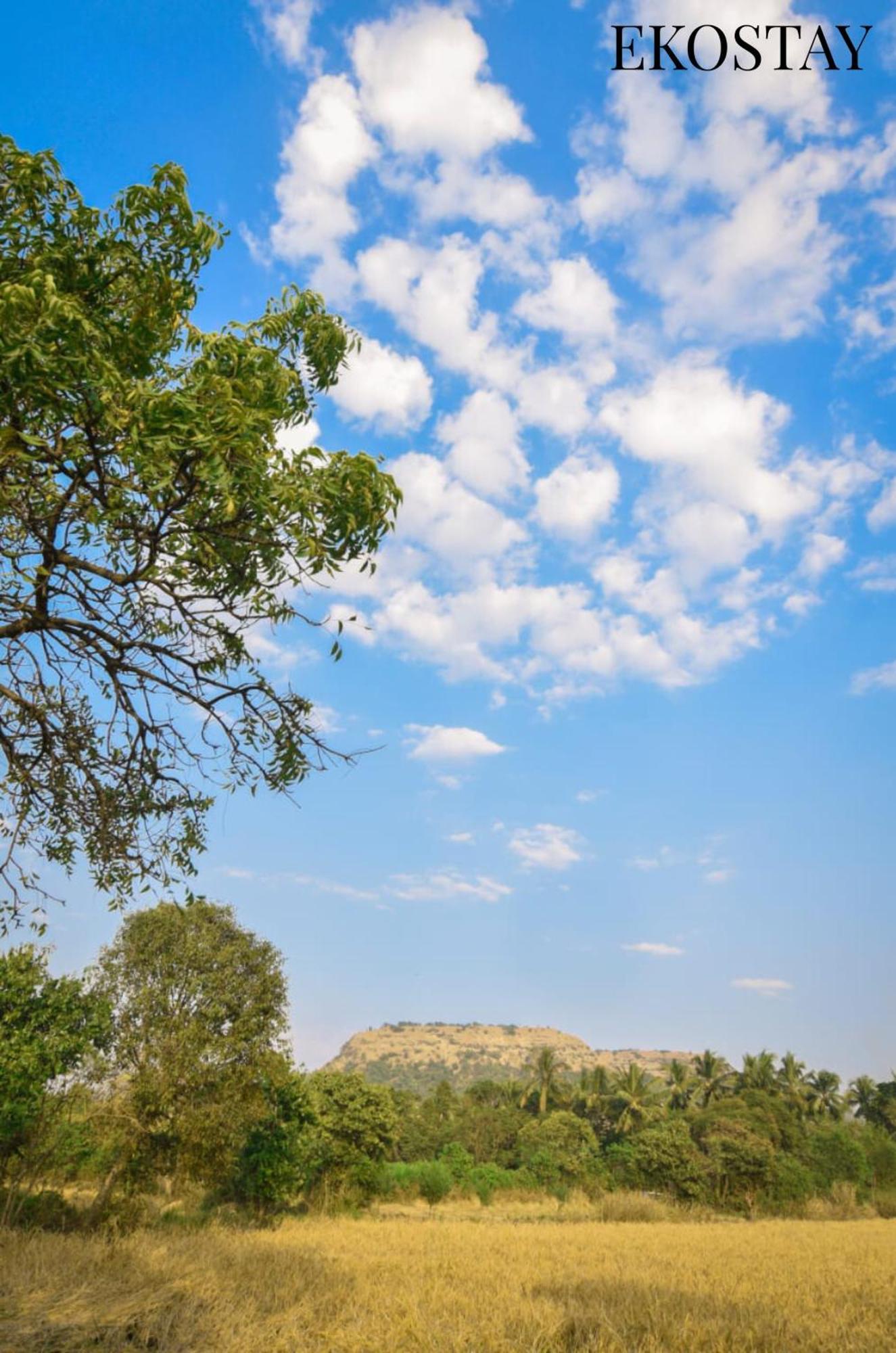 Ekostay - Pinewood Alibag